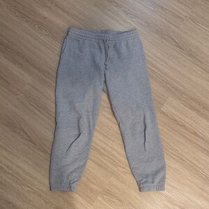 Aritzia Cozy Fleece Perfect Sweatpant in Grey